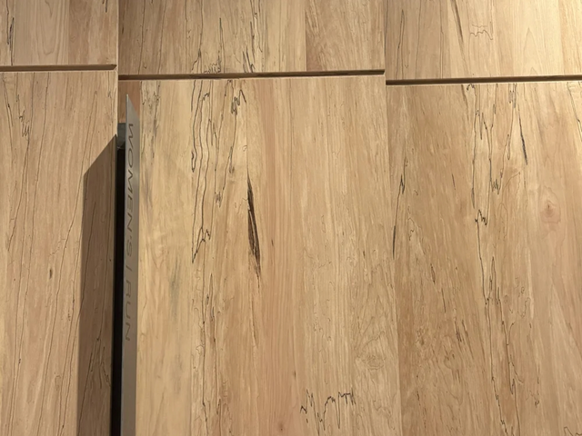 Spalted Maple Plywood