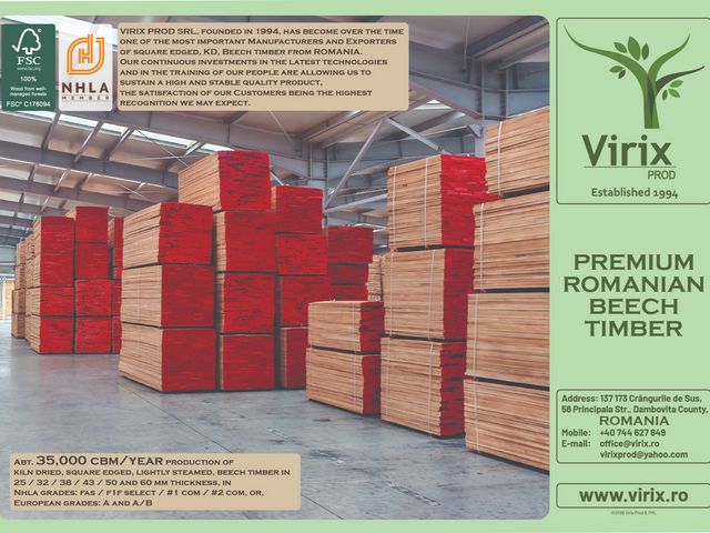 Romanian (European) Beech Timber