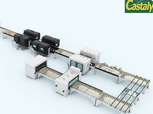 Castaly - Auto Sizer and Edge Coating Line