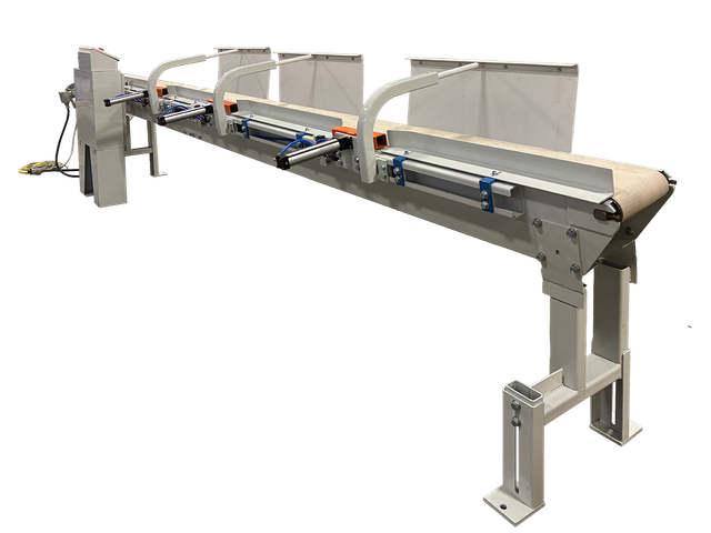 Linear Sorting Conveyor