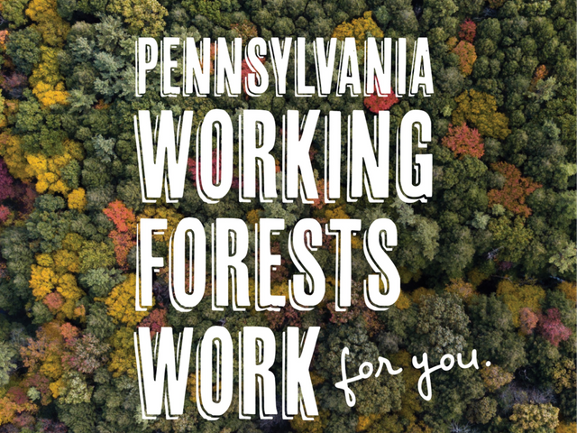 Pennsylvania's Working Forests Work for you!