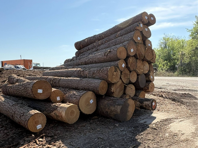 SYP Logs
