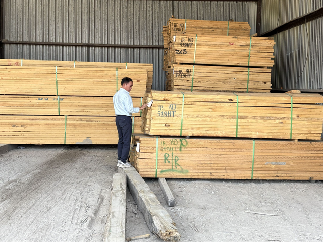 SYP Lumber