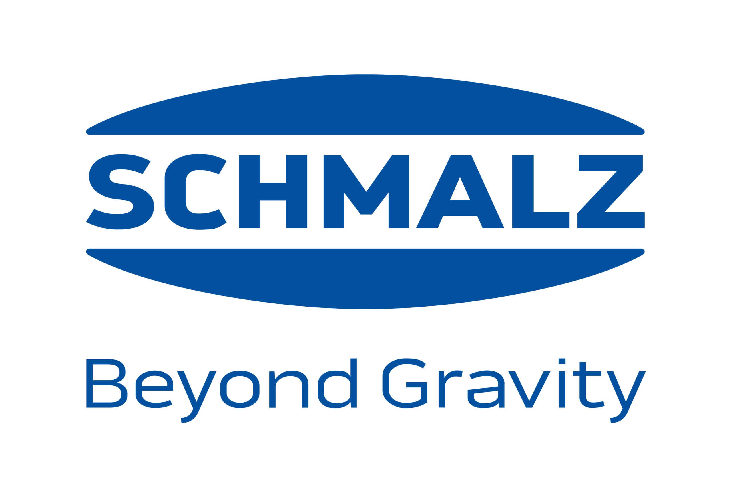 Schmalz Inc.
