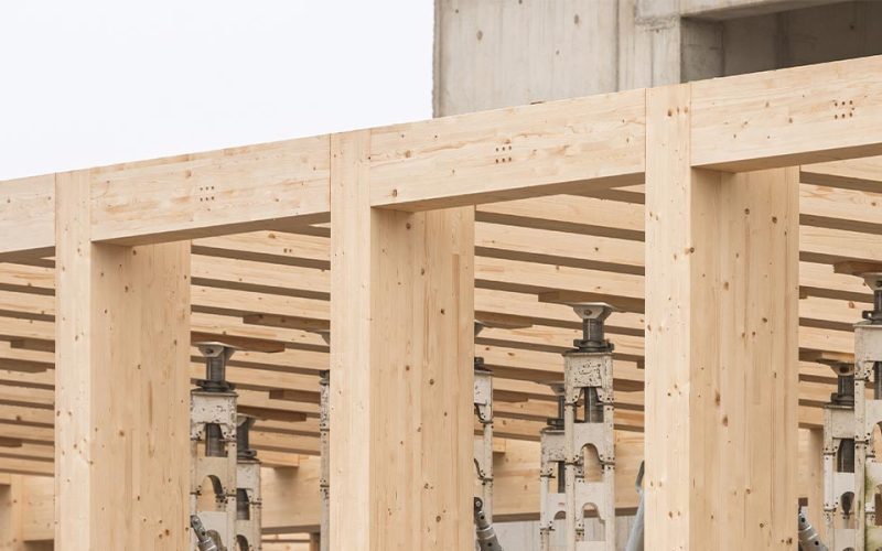 2025-pivotal-mass-timber-web