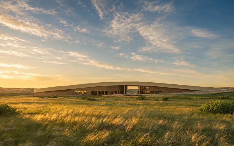 New Teddy Roosevelt President Library