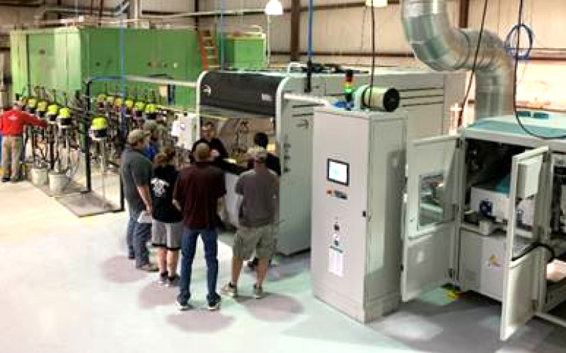Corsi Group plant image