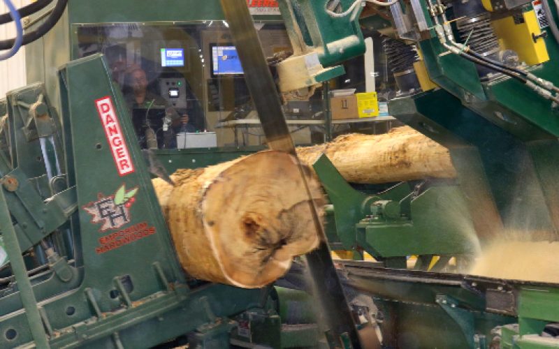 Emporium Hardwoods being processed