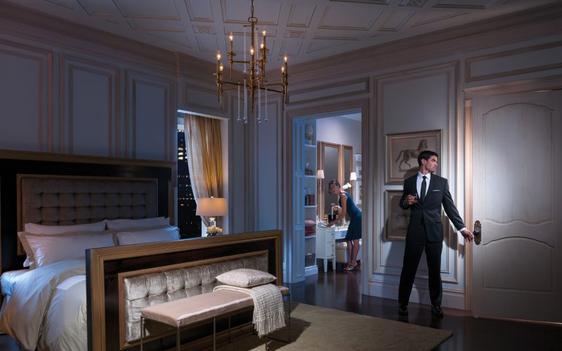 Metrie_FrenchCurvesCollection_highres