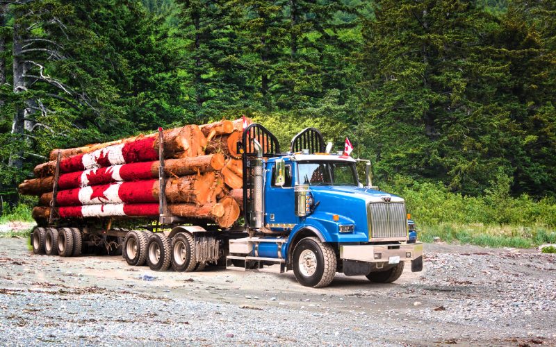 Loggers celebrate July 1, Canada Day, by painting a canadian flag on the logs. They drive this in a parade.