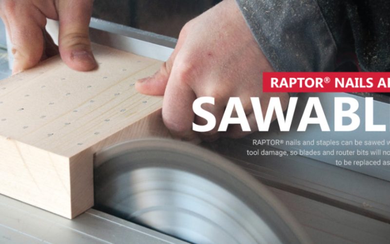 Raptor-nails-1024x522