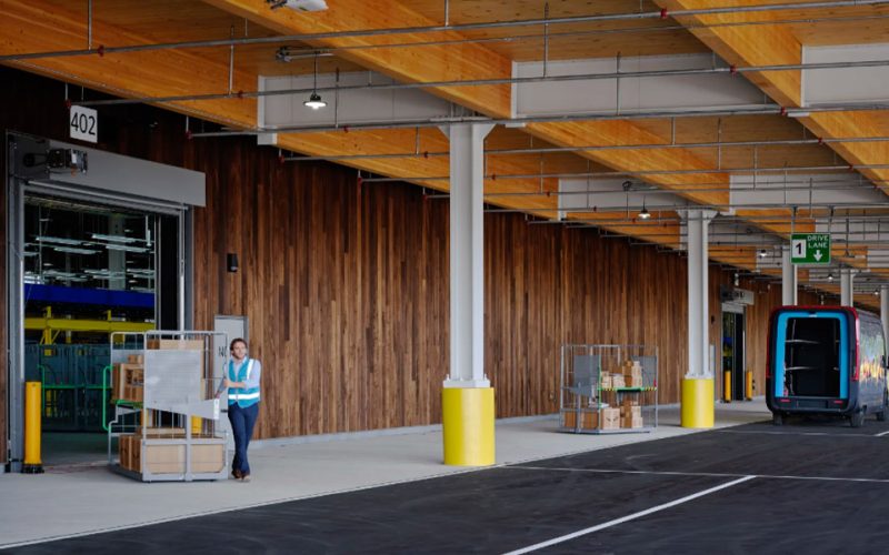 amazon-wooden-wonder-web