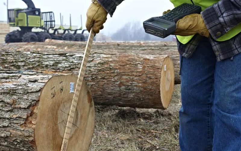 besse-forest-products-article