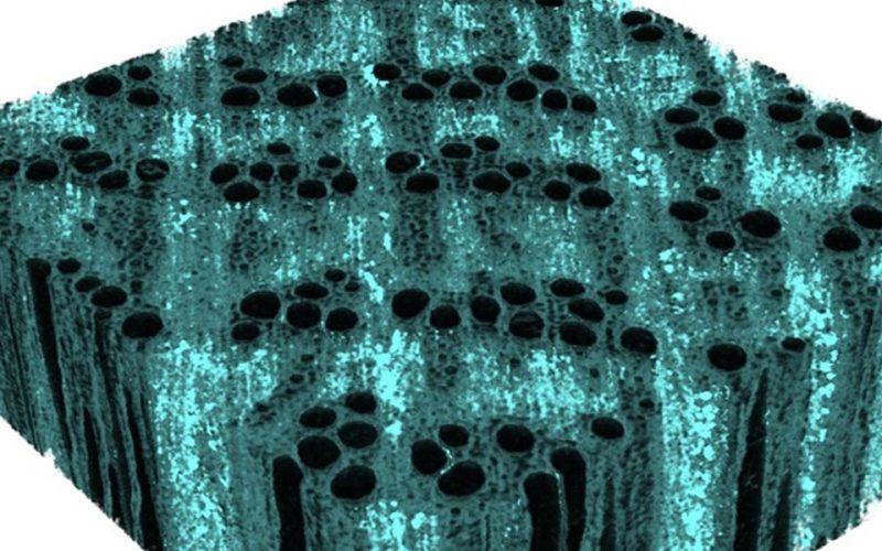 can-science-make-wood-better-web