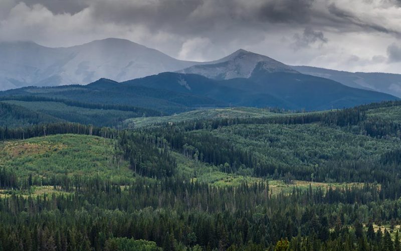 canadian-government-initiatives-web