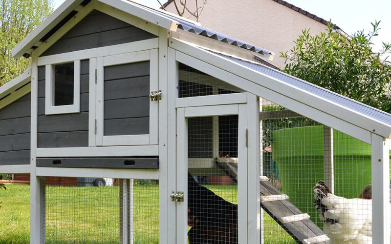 chicken-coop-lg