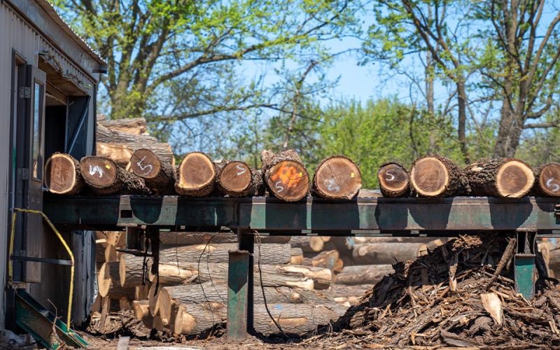 hardwood-federation-petitions-trump-tariffs-web