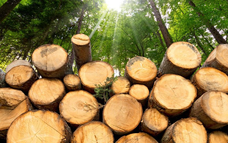 hardwood-research-bill-introduced-web