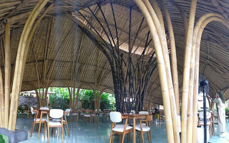 latest-hot-wood-bamboo-web-2