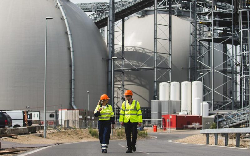 latest-use-southern-pine-power-sources-web