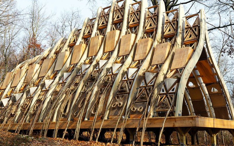 living-timber-building-material-web