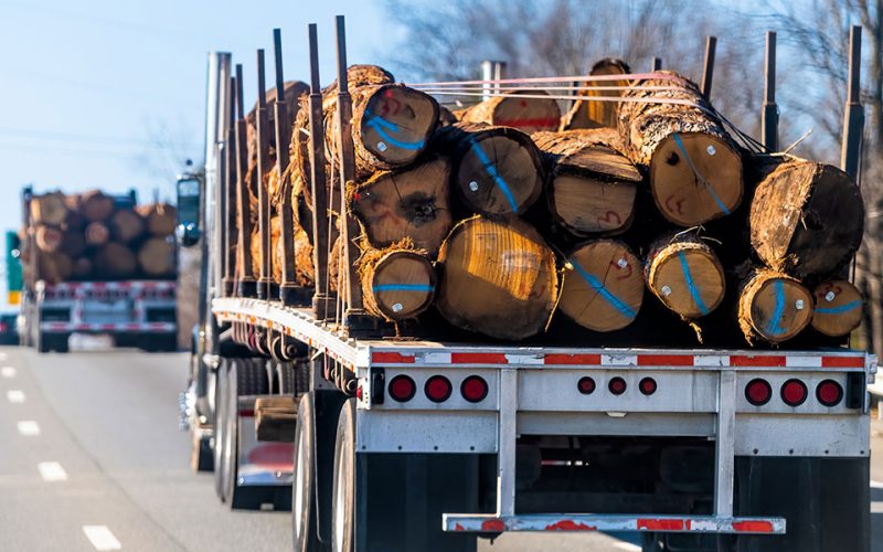 lumber-prices-finish-2024-more-traditional-pattern-web