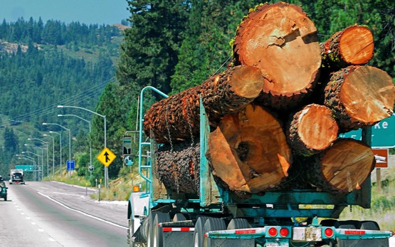 oregon-joins-la-recycling-fire-damaged-trees-web