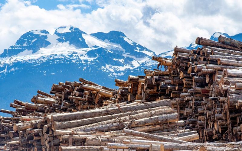 tariffs-finally-hit-canadian-wood-shipments-us-web-2