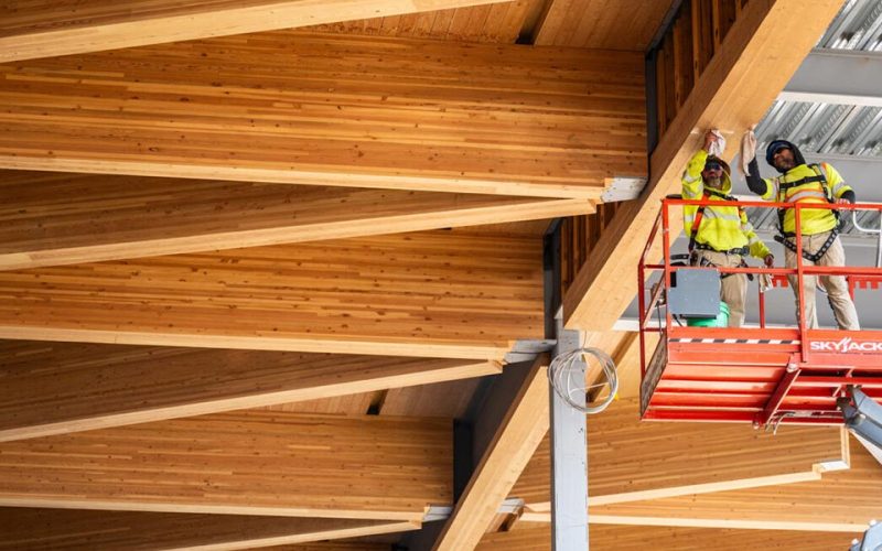 teddy-roosevelt-riding-mass-timber-web